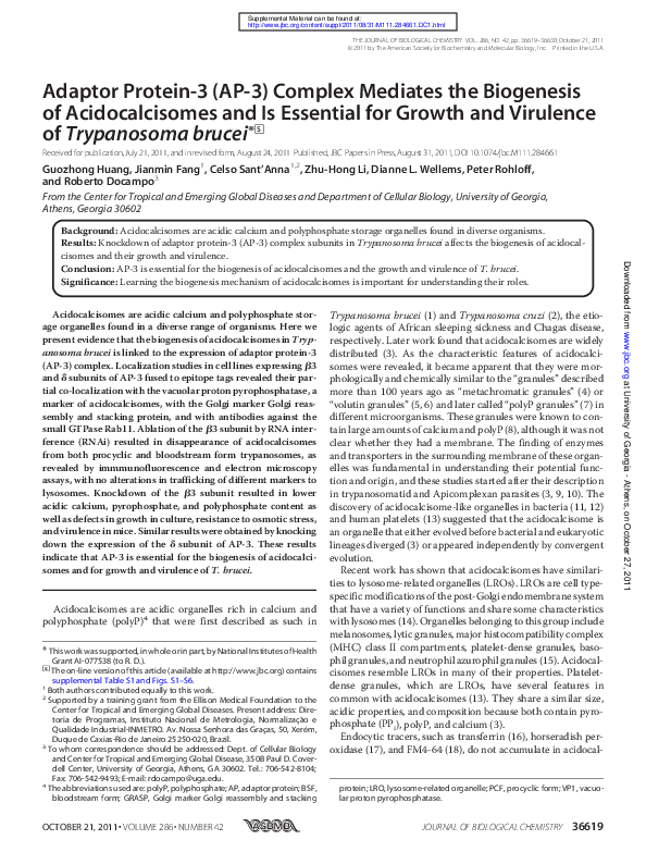 (PDF) Adaptor Protein-3 (AP-3) Complex Mediates the Biogenesis of ...