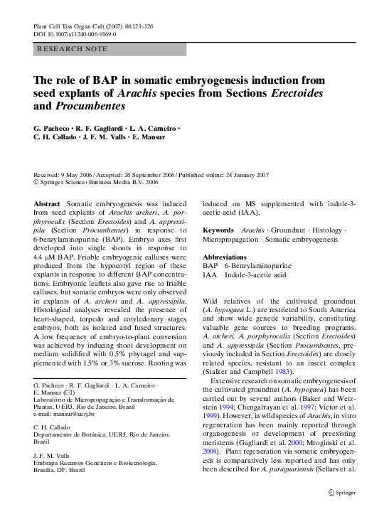 Role induction essay picture