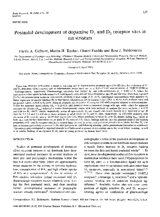 (PDF) Postnatal development of dopamine D1 and D2 receptor sites in rat ...