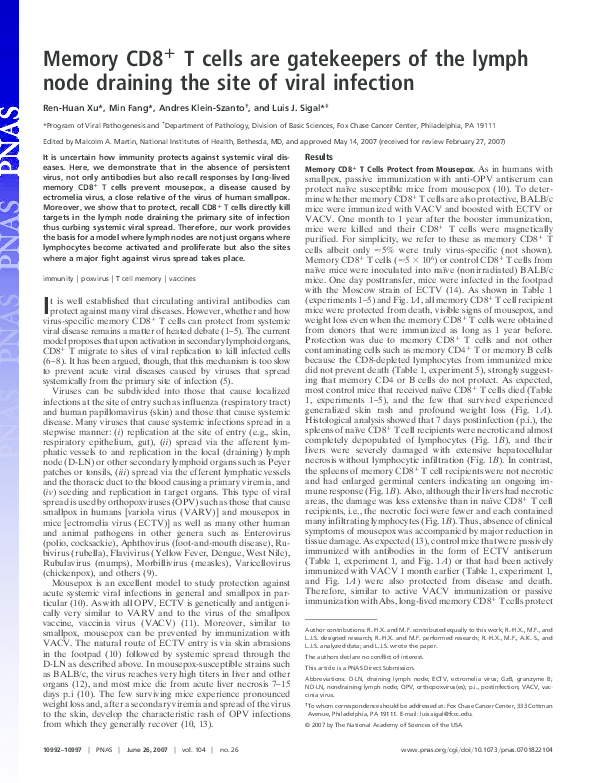 (PDF) Memory CD8+ T cells are gatekeepers of the lymph node draining ...