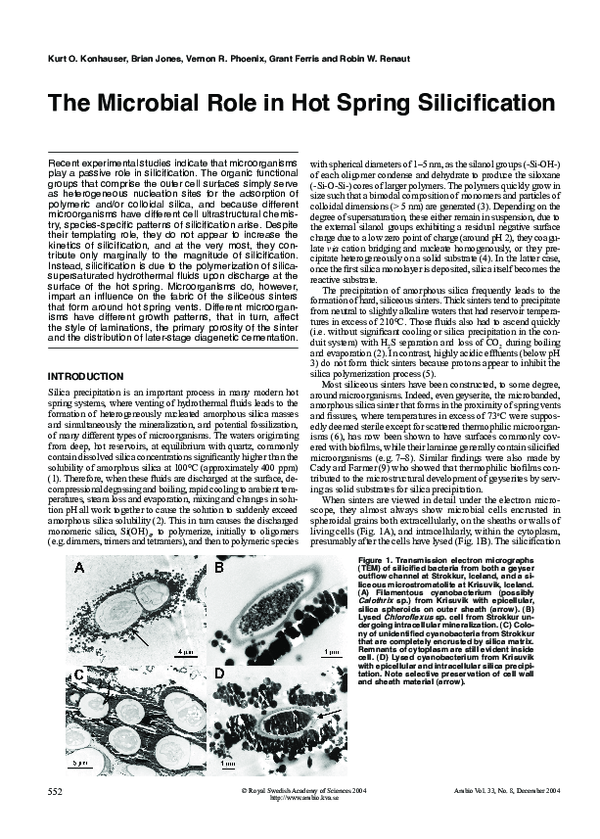 (PDF) The Microbial Role in Hot Spring Silicification
