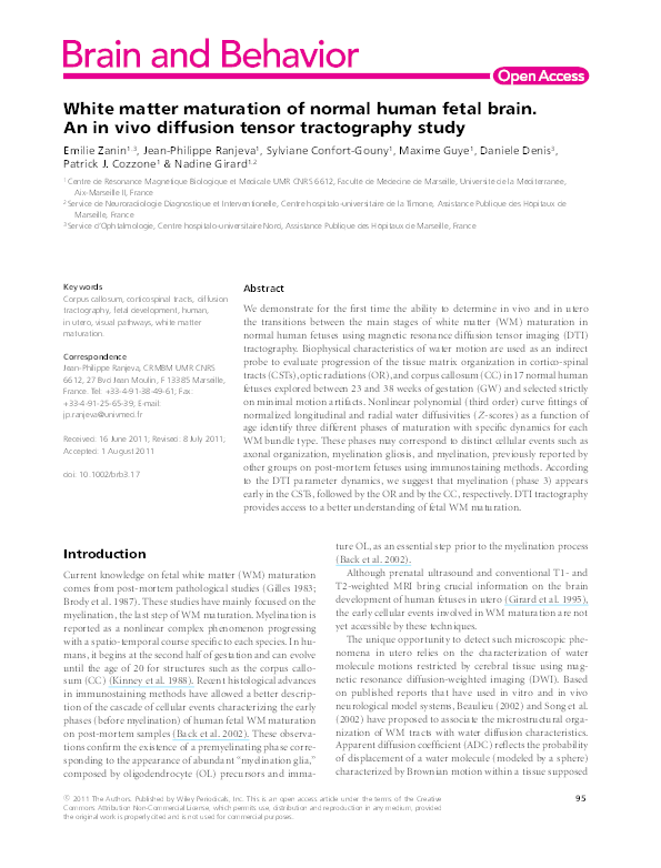 (PDF) White matter maturation of normal human fetal brain. An in vivo ...