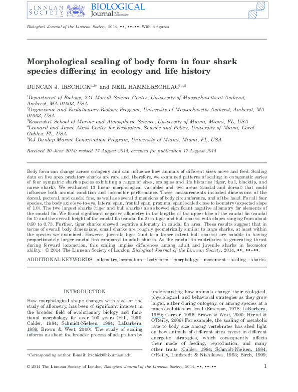(PDF) Morphological scaling of body form in four shark species ...