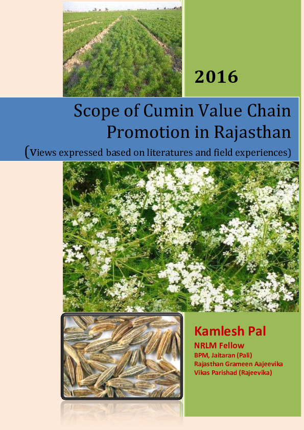 (PDF) Scope of Cumin Value Chain Promotion in Rajasthan Kamlesh Pal