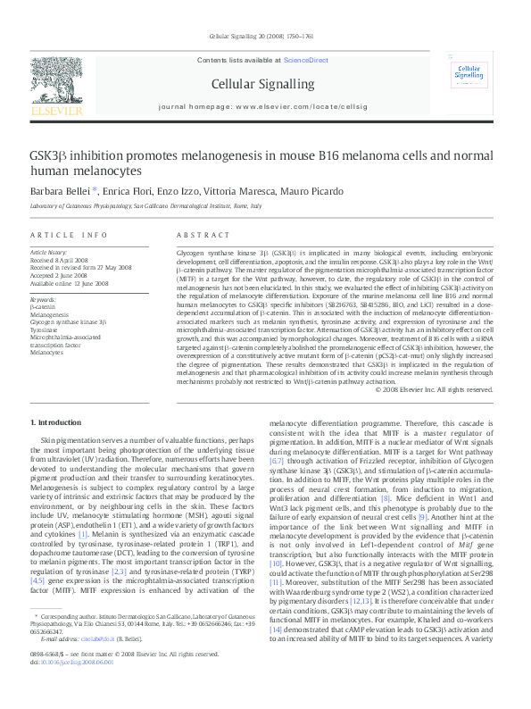 (PDF) GSK3β inhibition promotes melanogenesis in mouse B16 melanoma ...