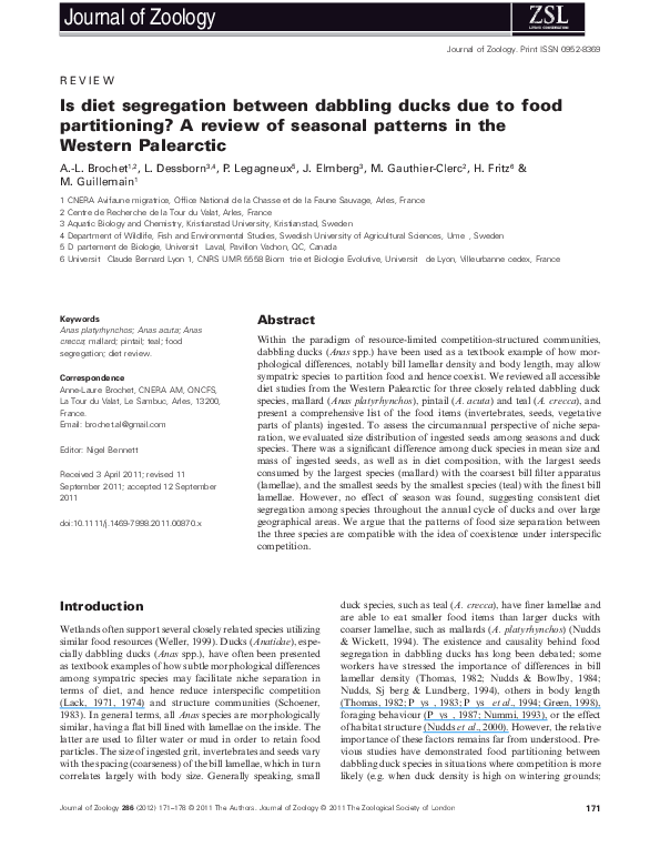 (PDF) Is diet segregation between dabbling ducks due to food ...