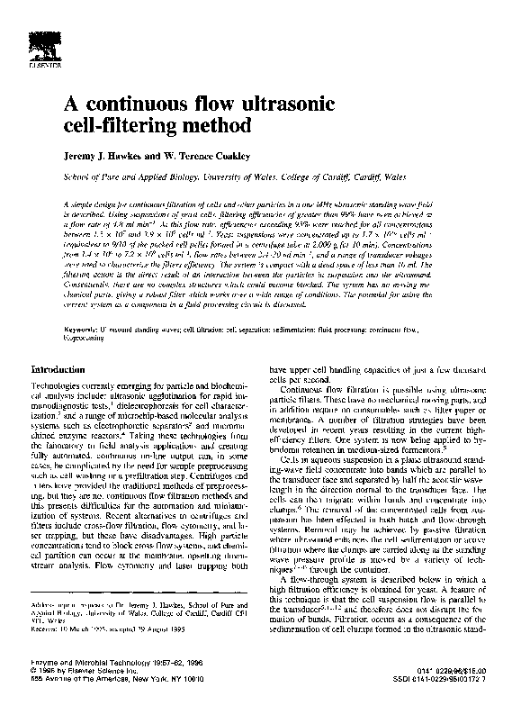 Dissertation vs thesis picture