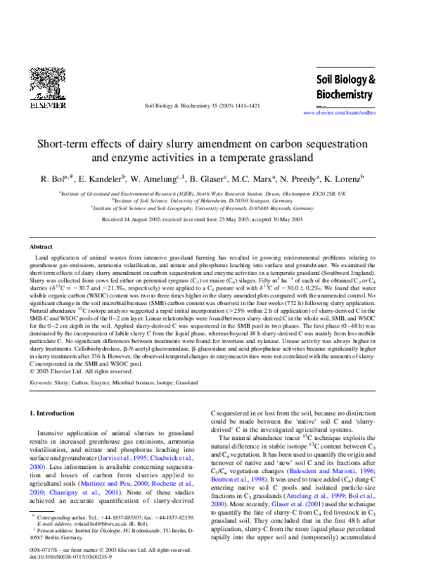 Temperate grassland essay image