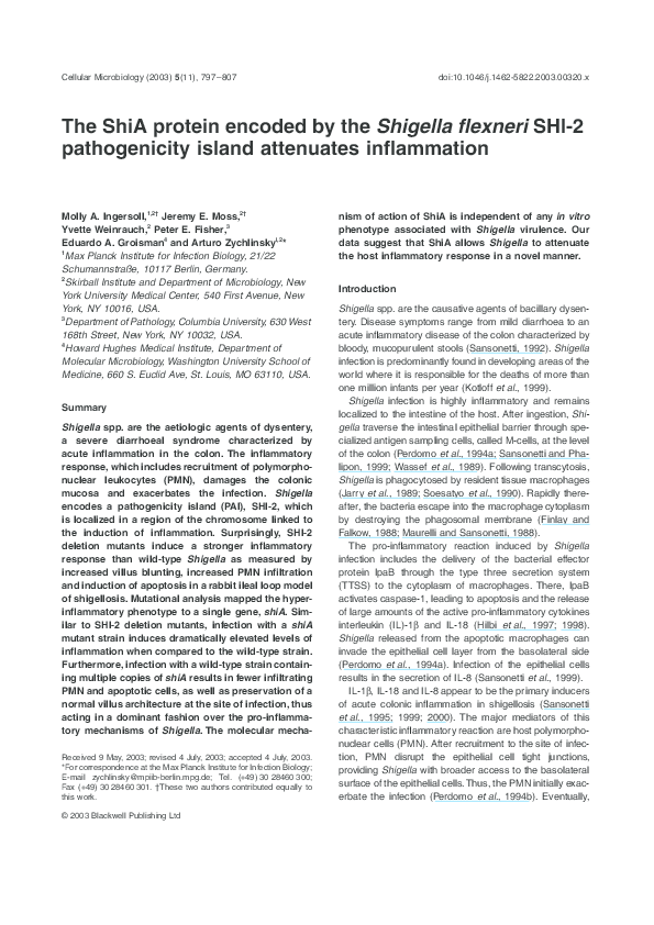 Shigella species image