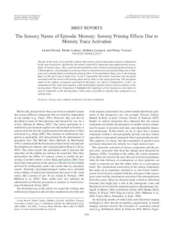 Autobiographical memory image