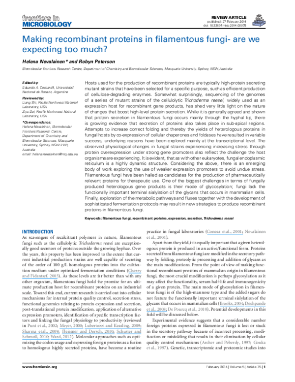 (PDF) Making proteins in filamentous fungi are we