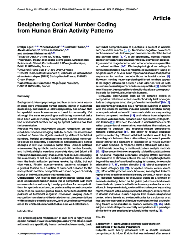 (PDF) Deciphering Cortical Number Coding from Human Brain Activity Patterns