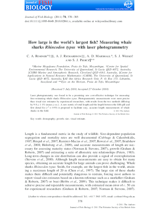 (PDF) How large is the world's largest fish? Measuring whale sharks ...