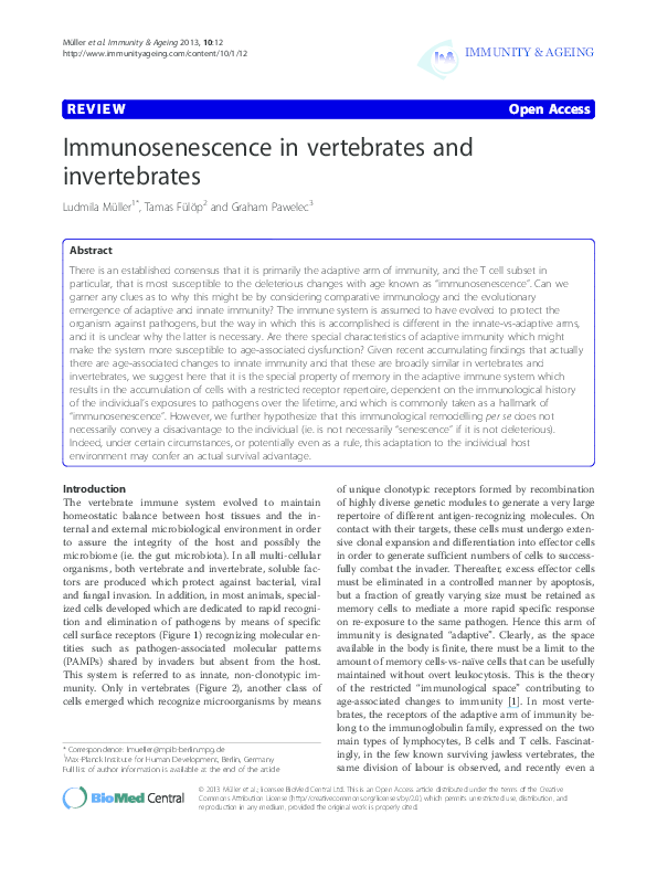 How did vertebrates evolved from invertebrates image