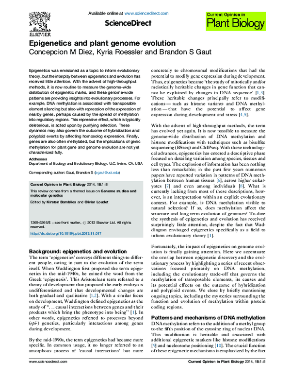 (PDF) Epigenetics and plant genome evolution
