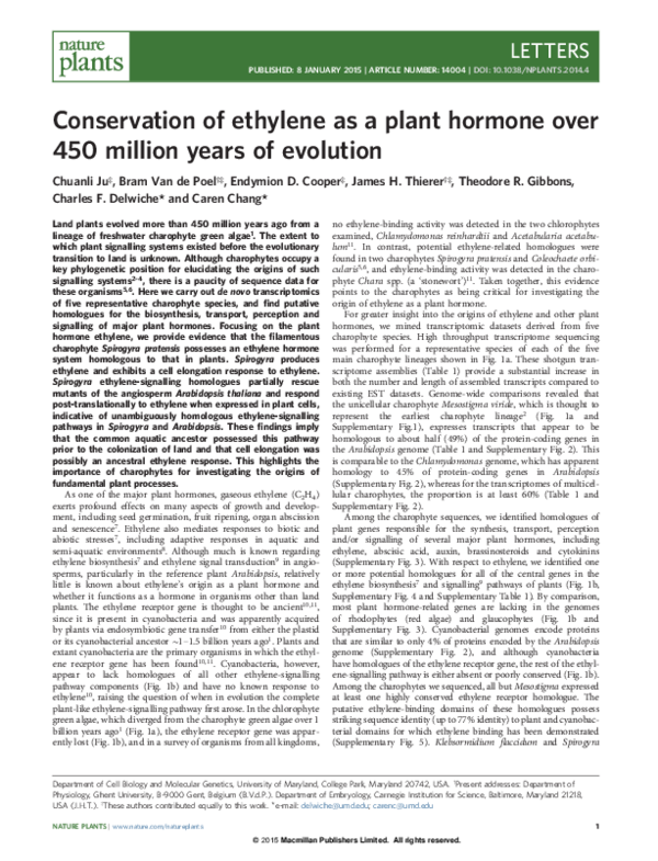 Plant growth hormones picture