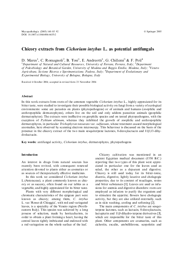 Chicory root coffee image