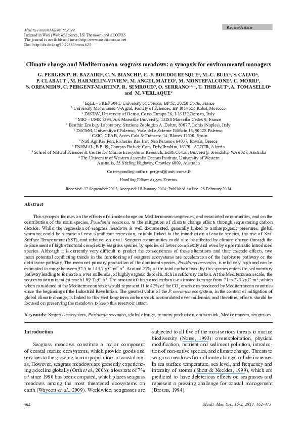 Importance of seagrass image