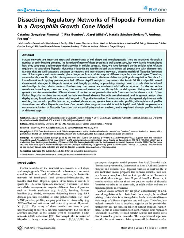 (PDF) Dissecting Regulatory Networks of Filopodia Formation in a ...