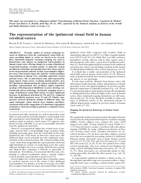 (PDF) The representation of the ipsilateral visual field in human ...