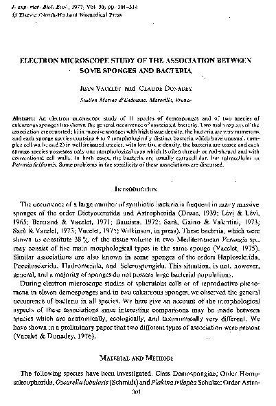 Essay questions about microscope picture