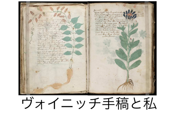 PDF) ヴォイニッチ手稿と私