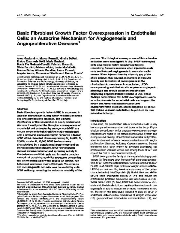 Endothelial cells essay 08 picture