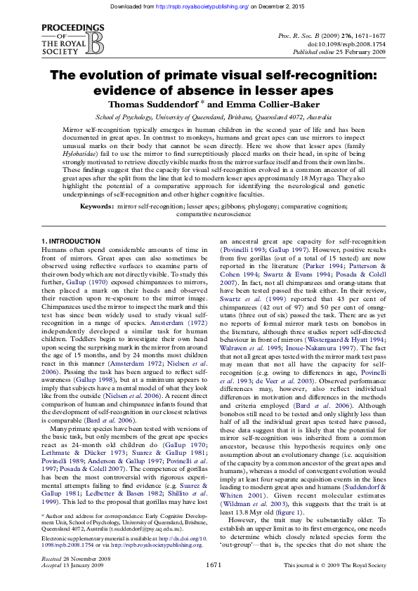 (PDF) The evolution of primate visual self-recognition: evidence of ...
