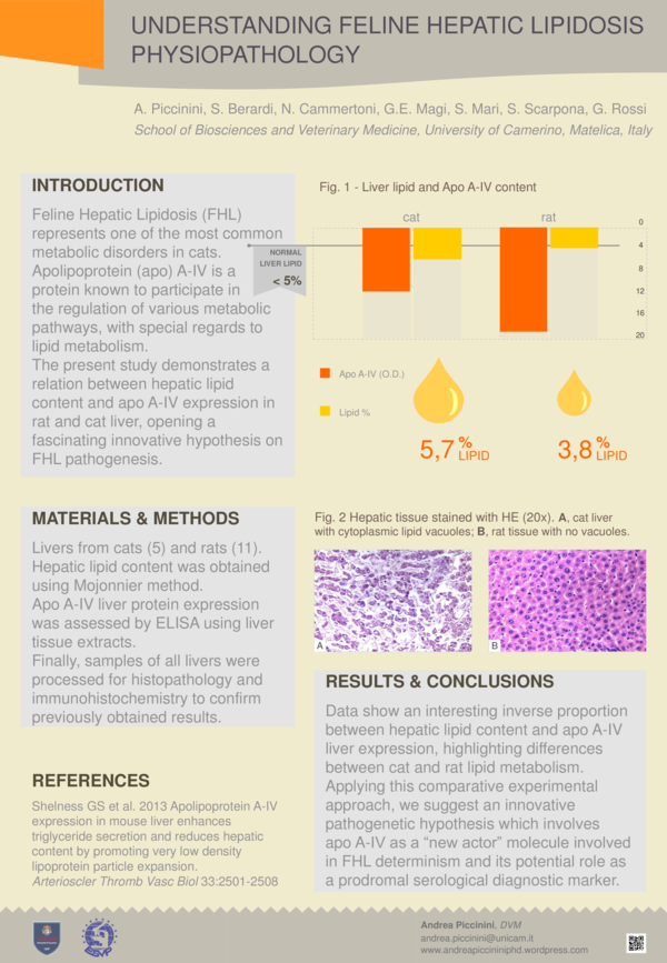 Pdf Understanding Feline Hepatic Lipidosis Physiopathology Giacomo Rossi Andrea Piccinini And Sara Berardi Academia Edu