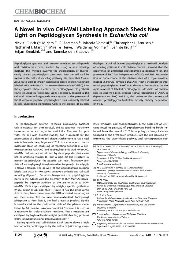 (PDF) A Novel in vivo Cell-Wall Labeling Approach Sheds New Light on ...