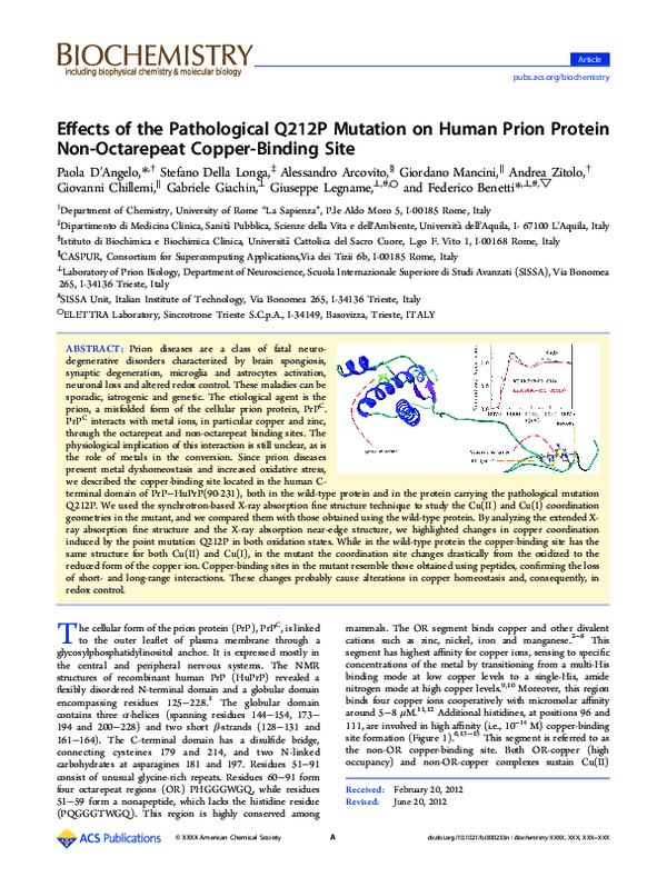 (PDF) Effects of the Pathological Q212P Mutation on Human Prion Protein ...