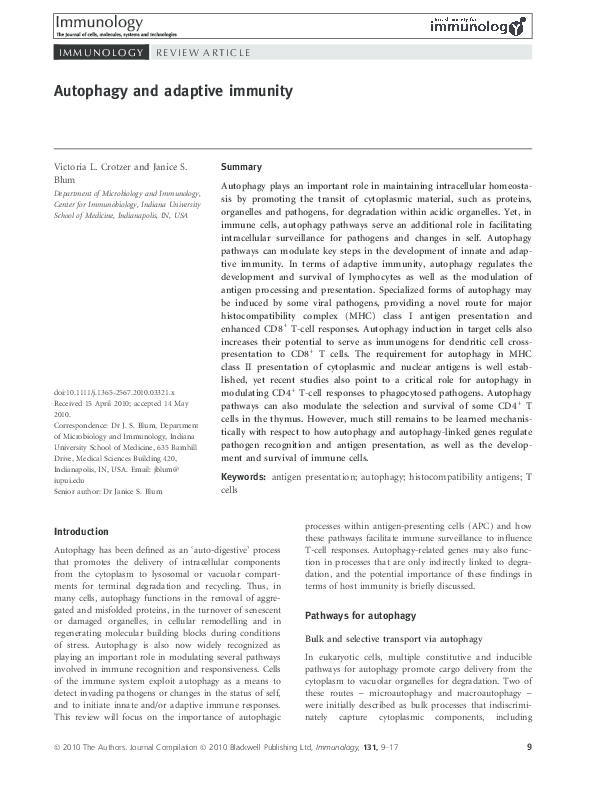 (PDF) Autophagy and adaptive immunity