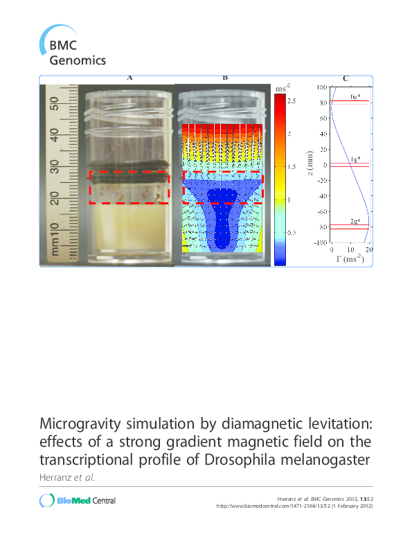 (PDF) Microgravity simulation by levitation effects of a