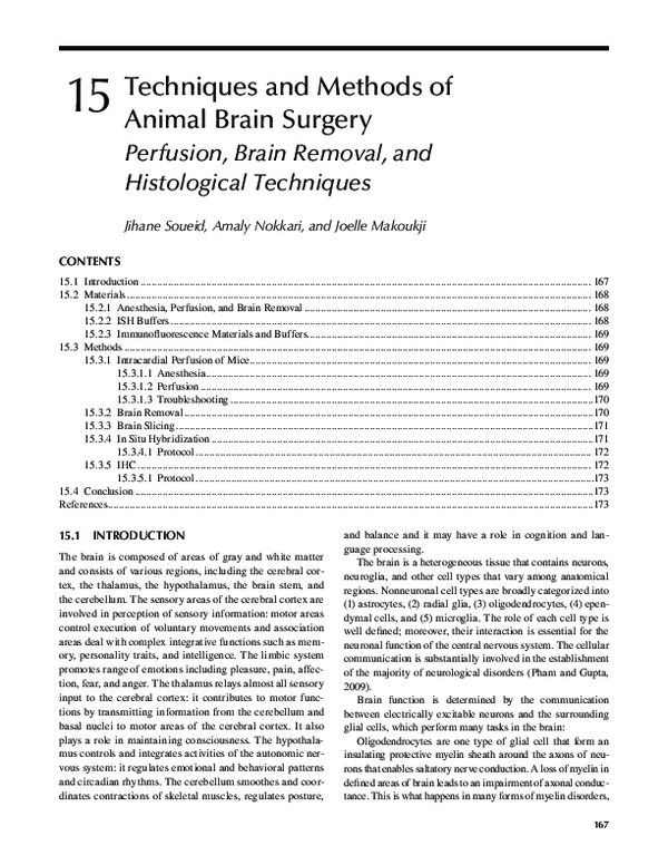 (PDF) Techniques and Methods of Animal Brain Surgery: Perfusion, Brain ...