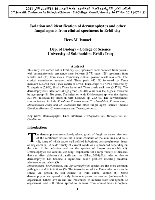 Thesis on dermatophytes 06 picture
