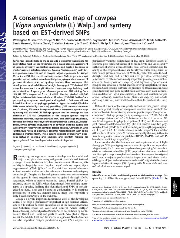 (PDF) A consensus genetic map of cowpea [Vigna unguiculata (L) Walp ...