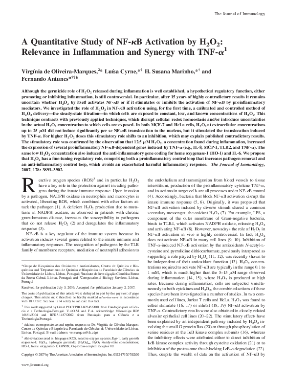 (PDF) A Quantitative Study of NF- B Activation by H2O2: Relevance in ...