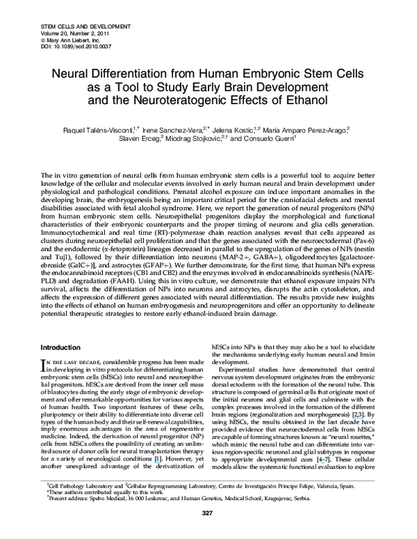 (PDF) Neural Differentiation from Human Embryonic Stem Cells as a Tool ...