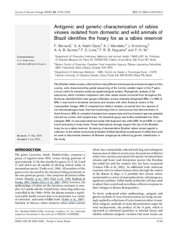 Rabies short essay image