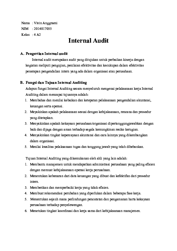 Doc Internal Audit Doc Internal Audit