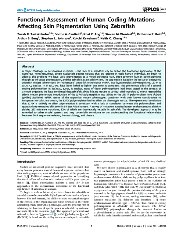 (PDF) Functional Assessment of Human Coding Mutations Affecting Skin ...