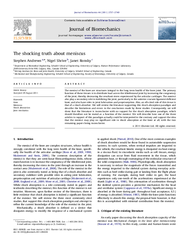 Essay the shocking truth 05 image