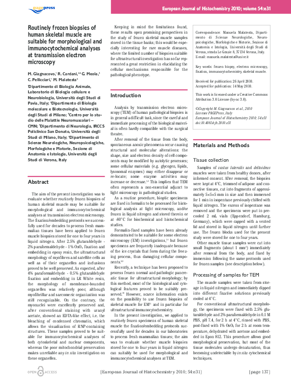 (PDF) Routinely frozen biopsies of human skeletal muscle are suitable ...