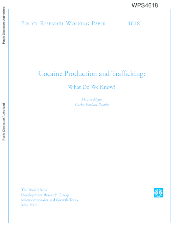 Cocaine production essay 04 picture