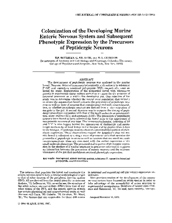 (PDF) Colonization of the developing murine enteric nervous system and ...