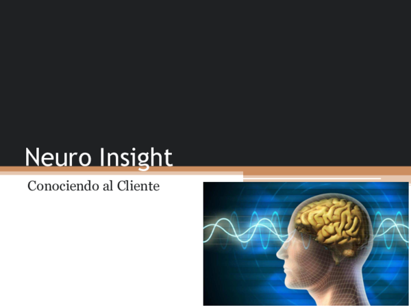 (PDF) Neuro Insight