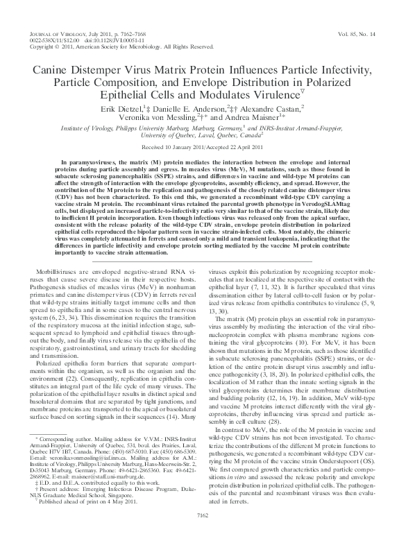 (PDF) Canine distemper virus matrix protein influences particle ...