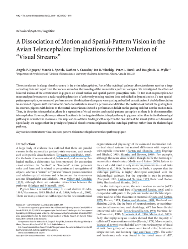 (PDF) A Dissociation of Motion and Spatial-Pattern Vision in the Avian ...