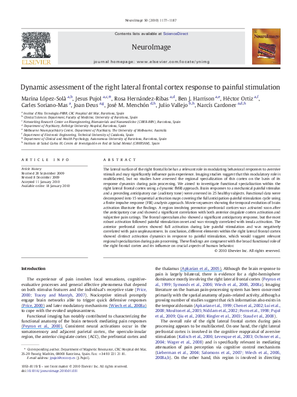 (PDF) Dynamics of the right frontal cortex response to painful stimulation