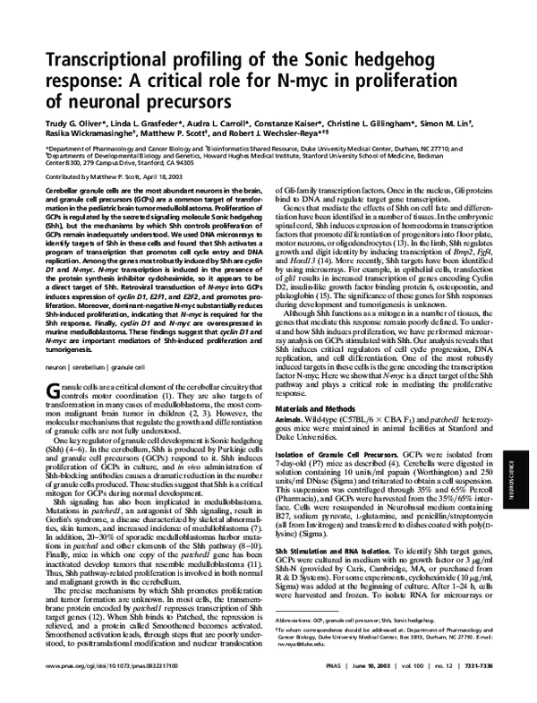 (PDF) Transcriptional profiling of the Sonic hedgehog response: A ...